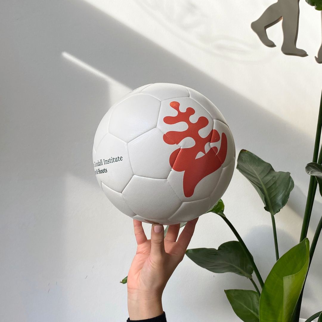 Fussball "Goodball"