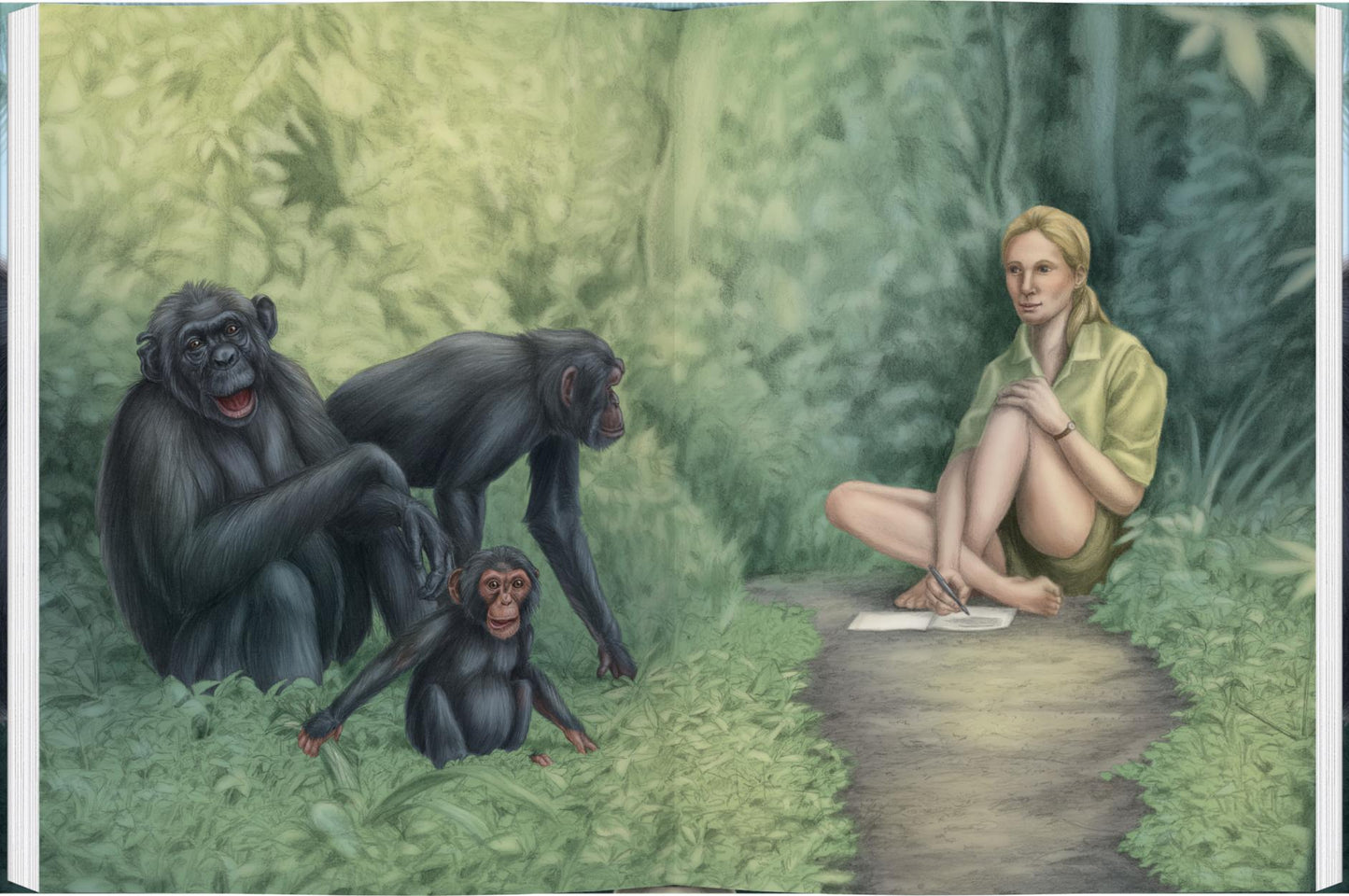 Mit Jane Goodall bei den wilden Schimpansen