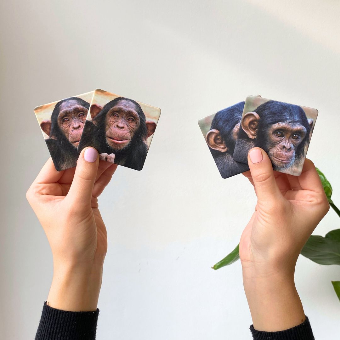 Memory Spiel "20 Persönlichkeiten"