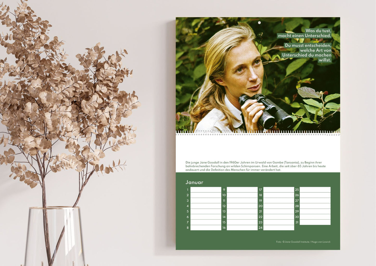 Kalender in Erinnerung an Dr. Jane Goodall
